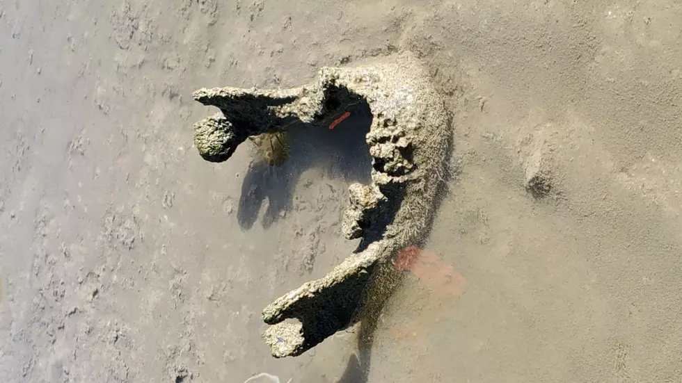 ‘Prehistoric’ Remains of a Man Were Found In An Iowa River